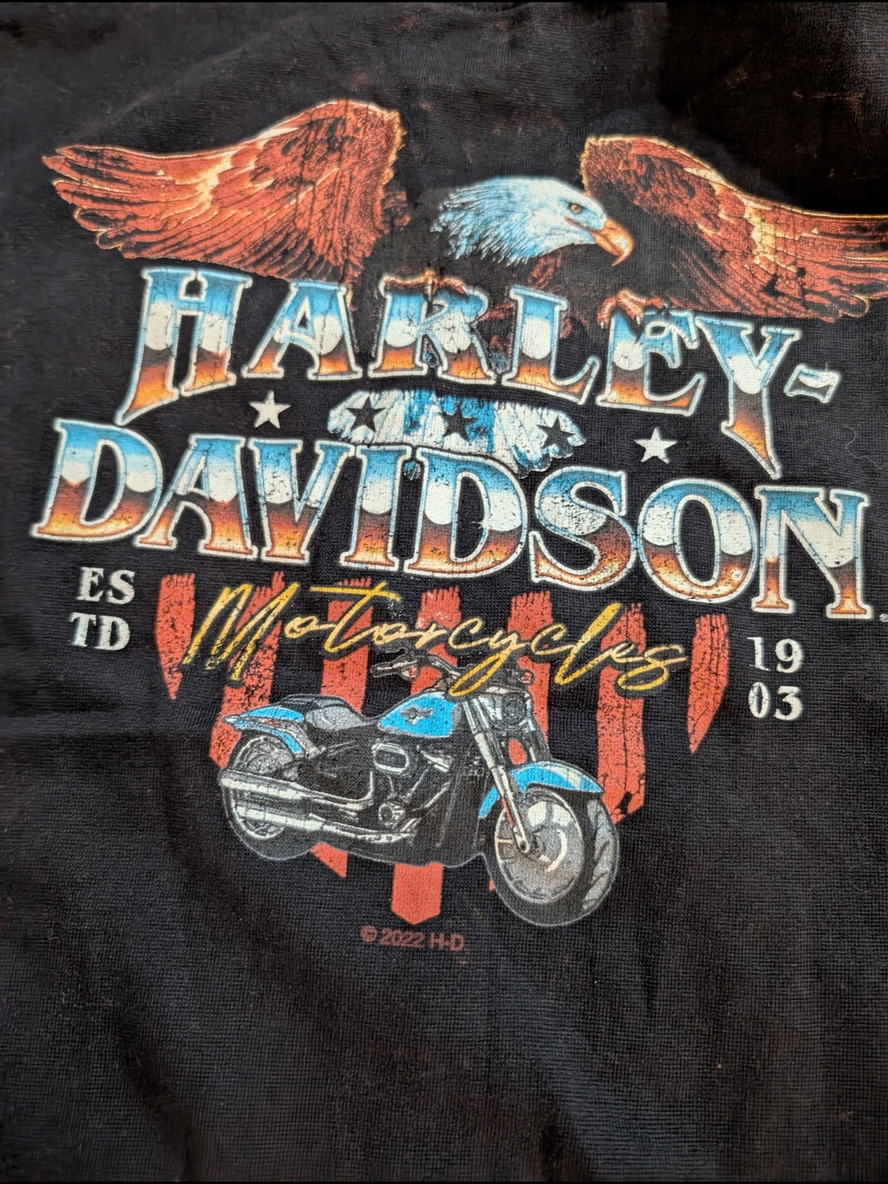 Harley-Davidson Black Tee with Blue and Orange Graphic